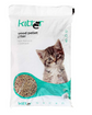 Cat Toileting