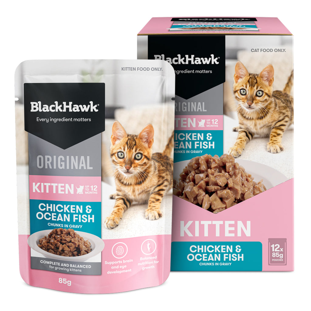 Black Hawk Chicken And Ocean Fish Chunks In Gravy Kitten Wet Food Box- PetPA
