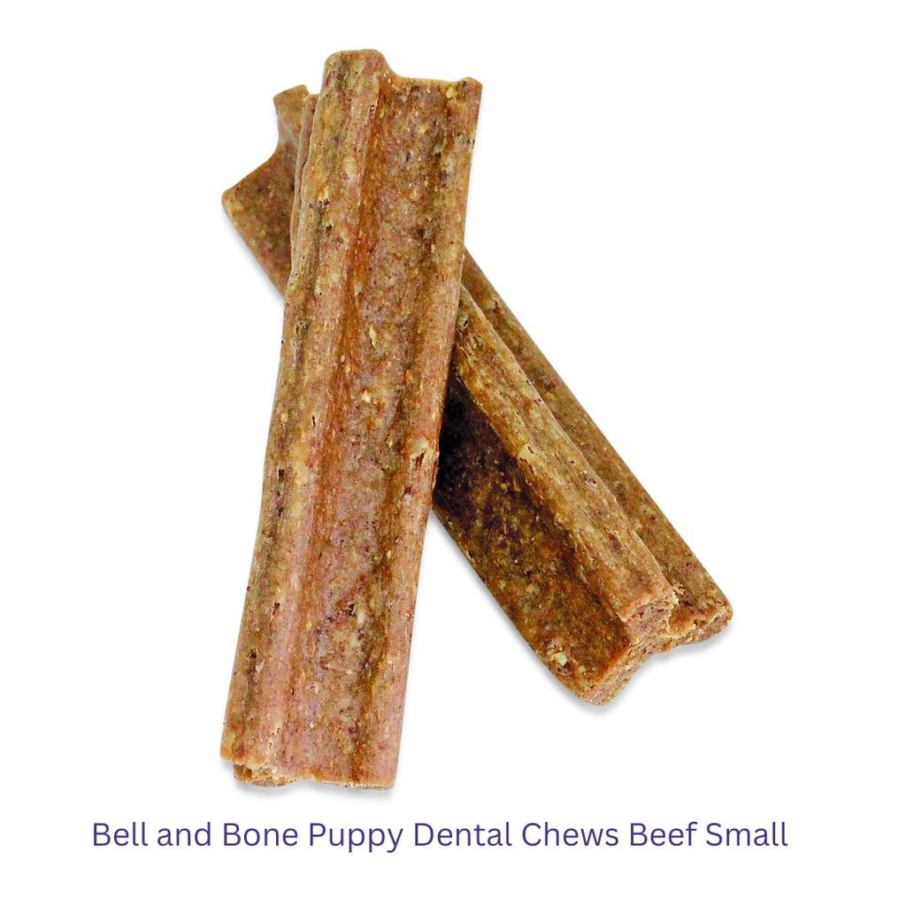 Bell and Bone Puppy Dental Chews BeefSample -YourPetPA