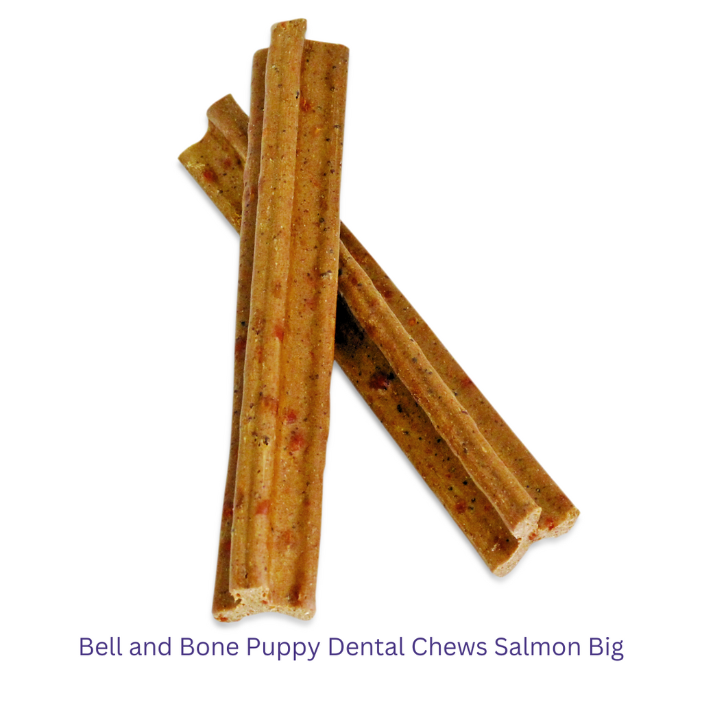 Bell and Bone Puppy Dental Chews Salmon Big -YourPetPA