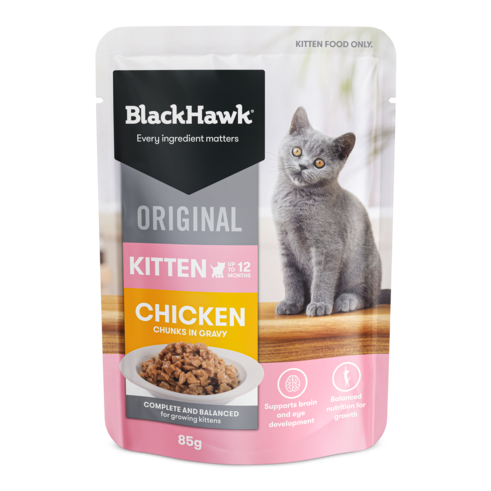 Black Hawk Chicken Chunks In Gravy Kitten Wet Food- PetPA