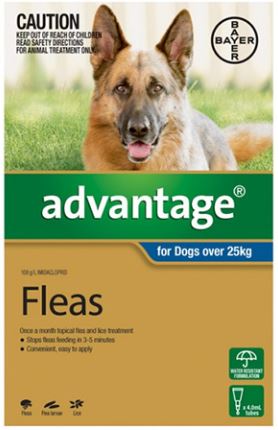 Advantage For Dogs Over 25kg- YourPetPA