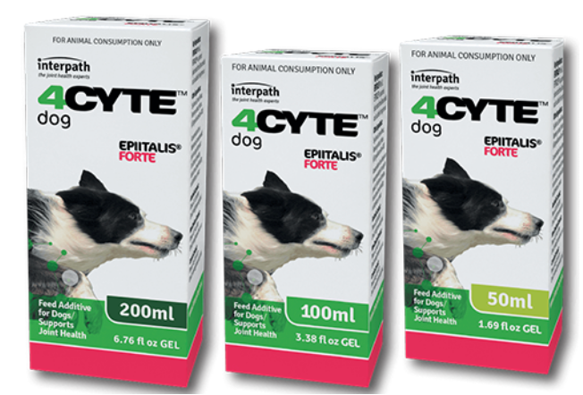 4Cyte Epiitalis Forte Gel for Dogs set