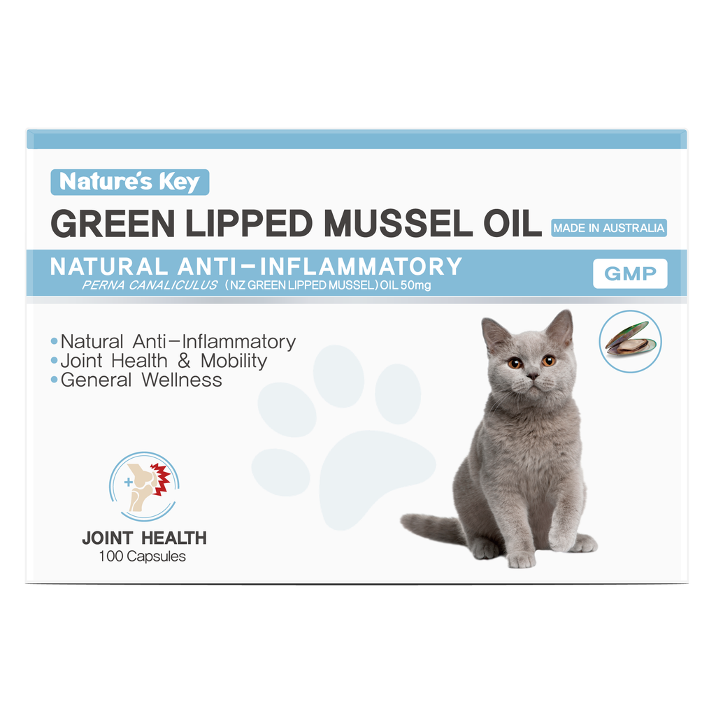 nature key green lipped mussel oil capsules cat front