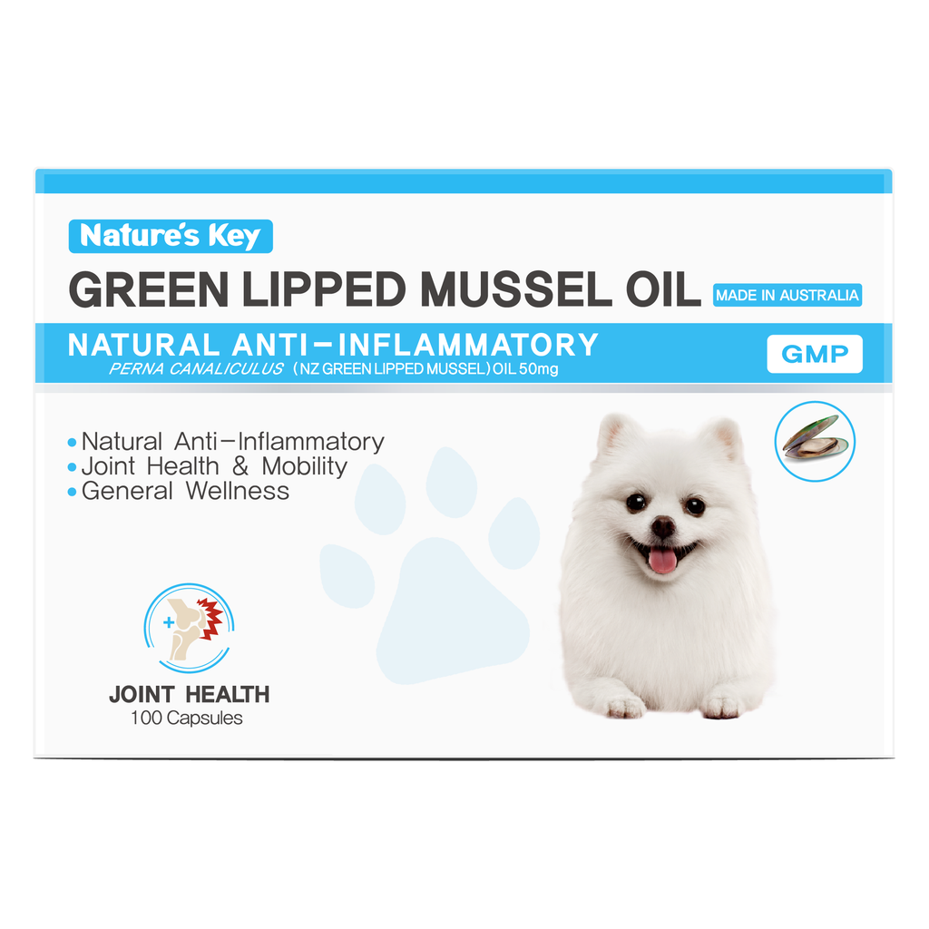 nature key green lipped mussel oil capsules front