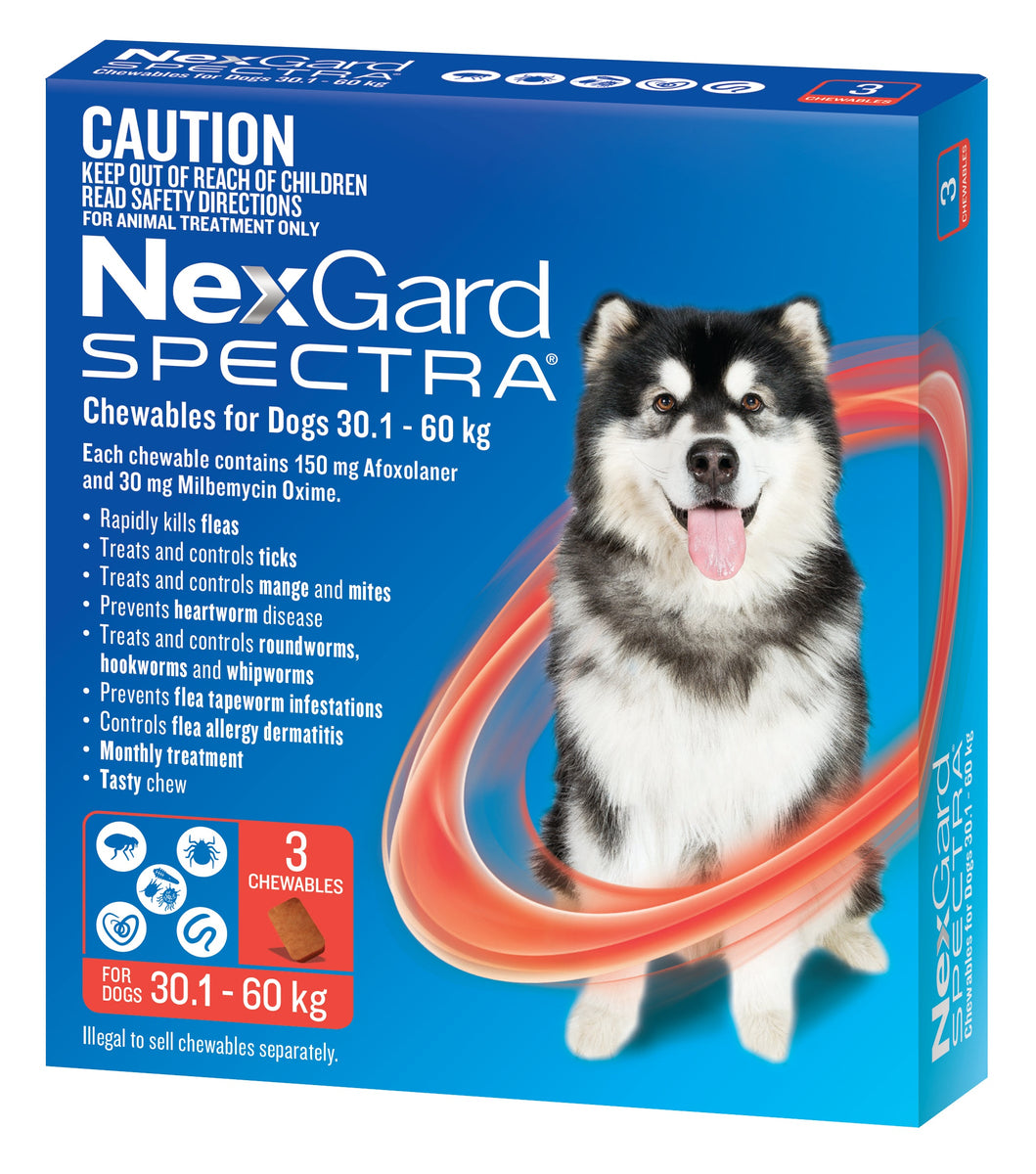 Nexgard single hot sale pack