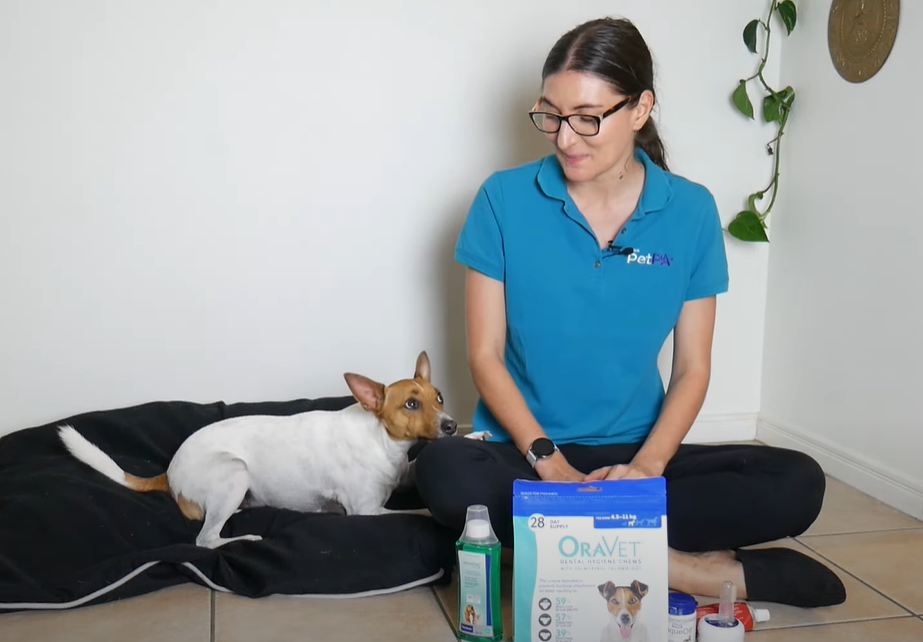 Tips for Maintaining Your Pet's Dental Hygiene Routine