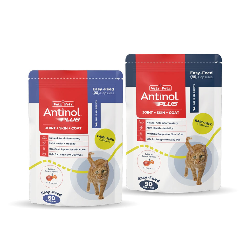 Antinol Plus Easy-Feed Capsules For Cats- PetPA