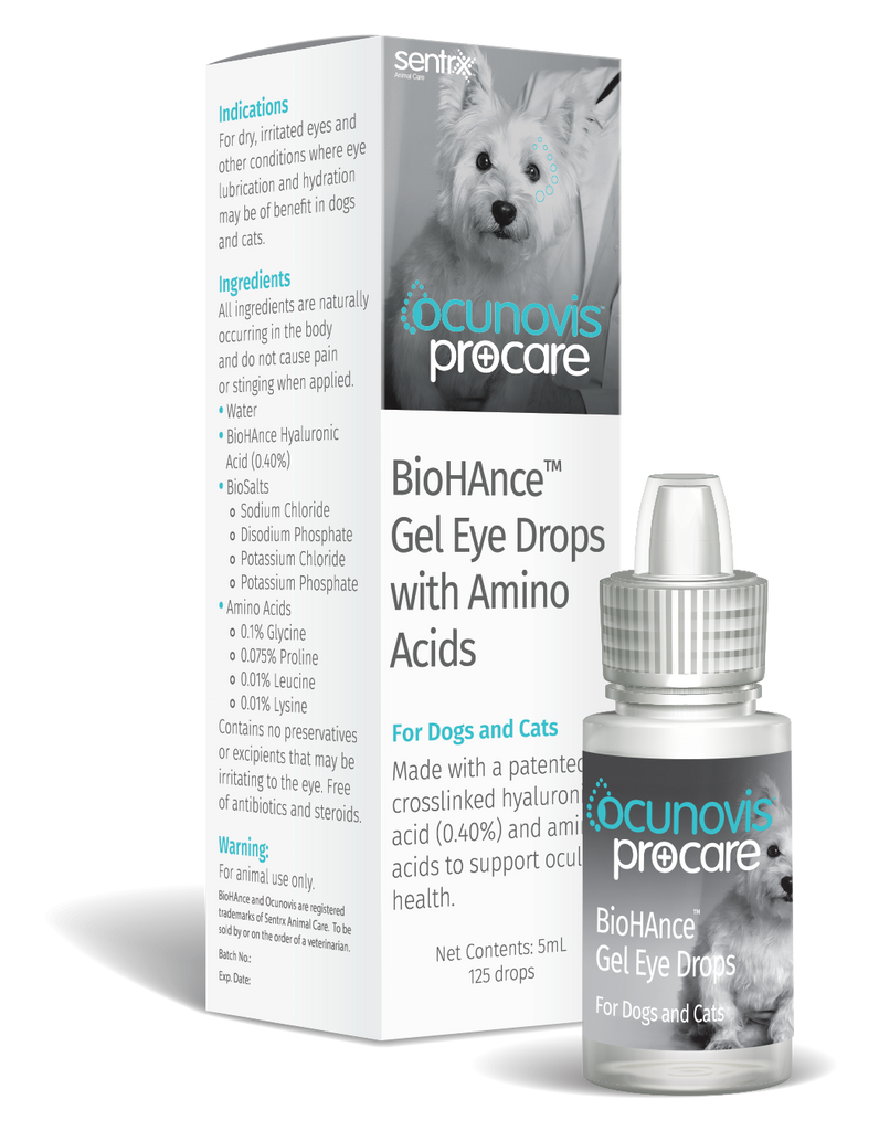 Eye Care for Dogs Eye Care Online Australia PetPA