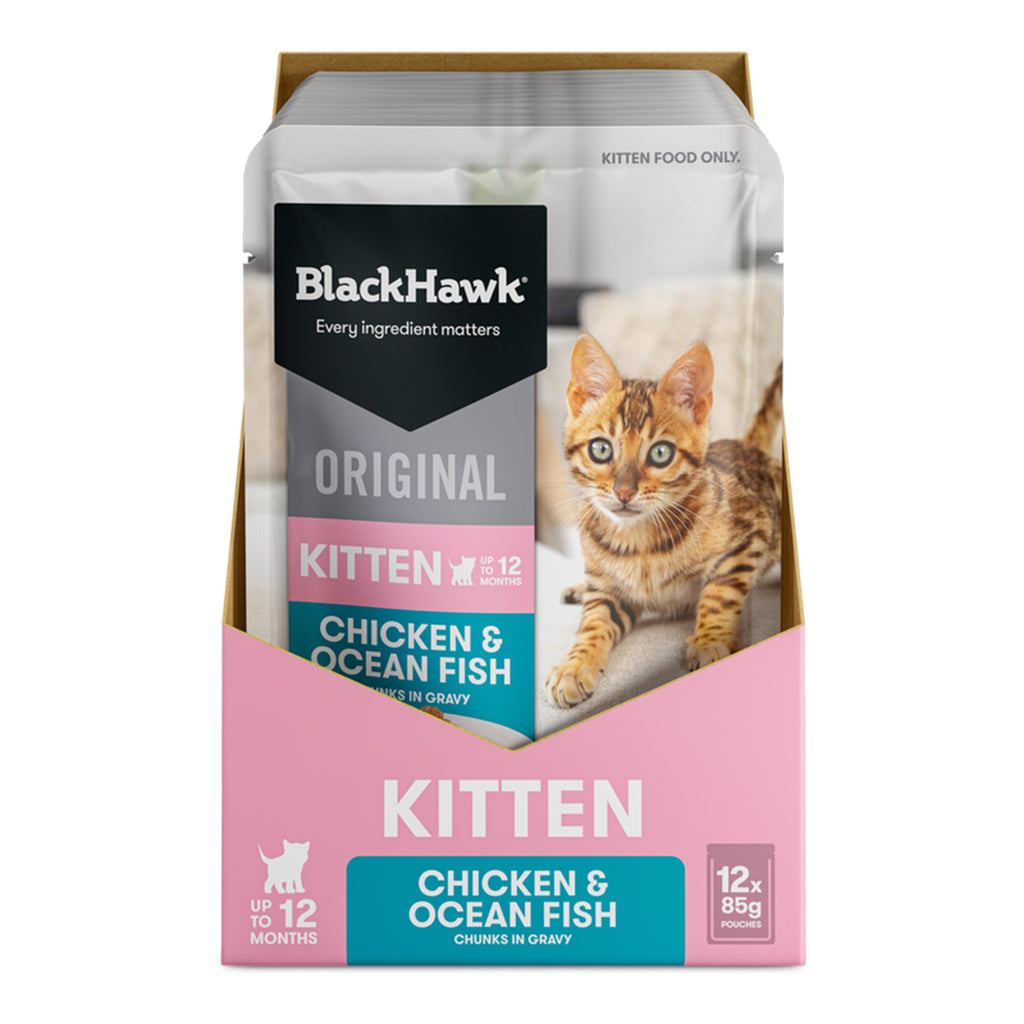 Black Hawk Chicken And Ocean Fish Chunks In Gravy Kitten Wet Food- PetPA