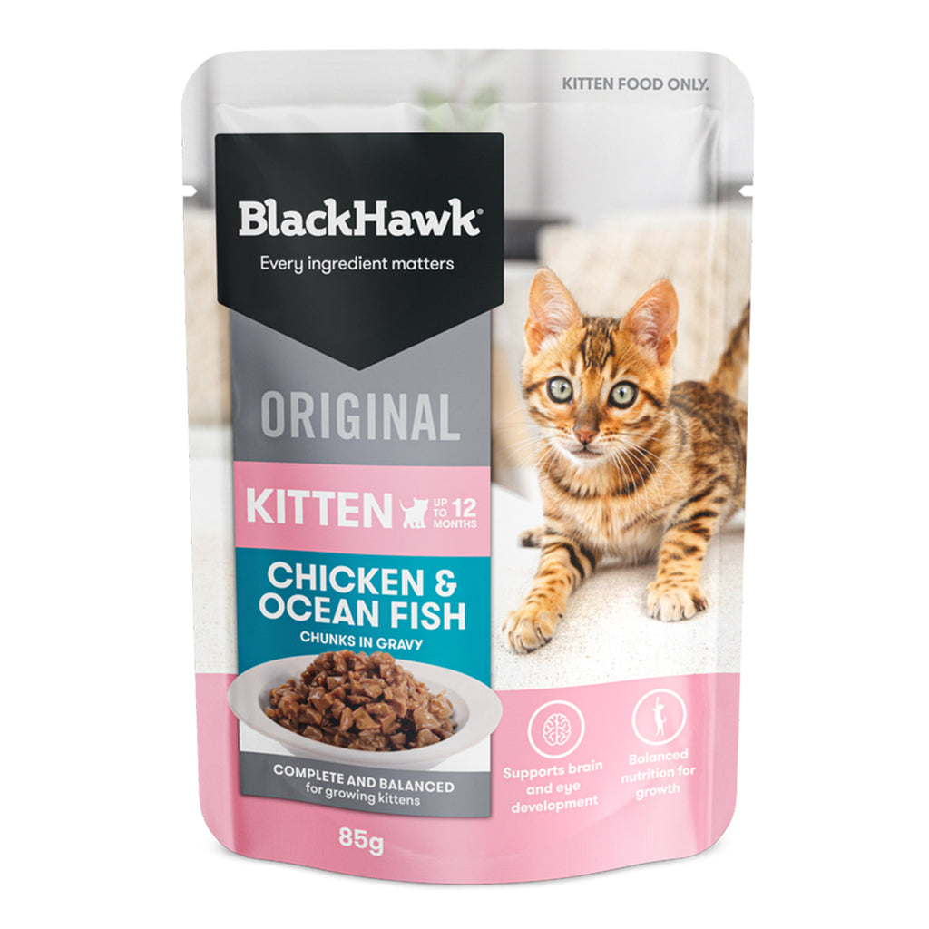 Black Hawk Chicken And Ocean Fish Chunks In Gravy Kitten Wet Food Pouch- PetPA