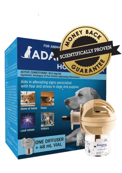 Adaptil Calm Home Diffuser For Dogs- YourPetPA 
