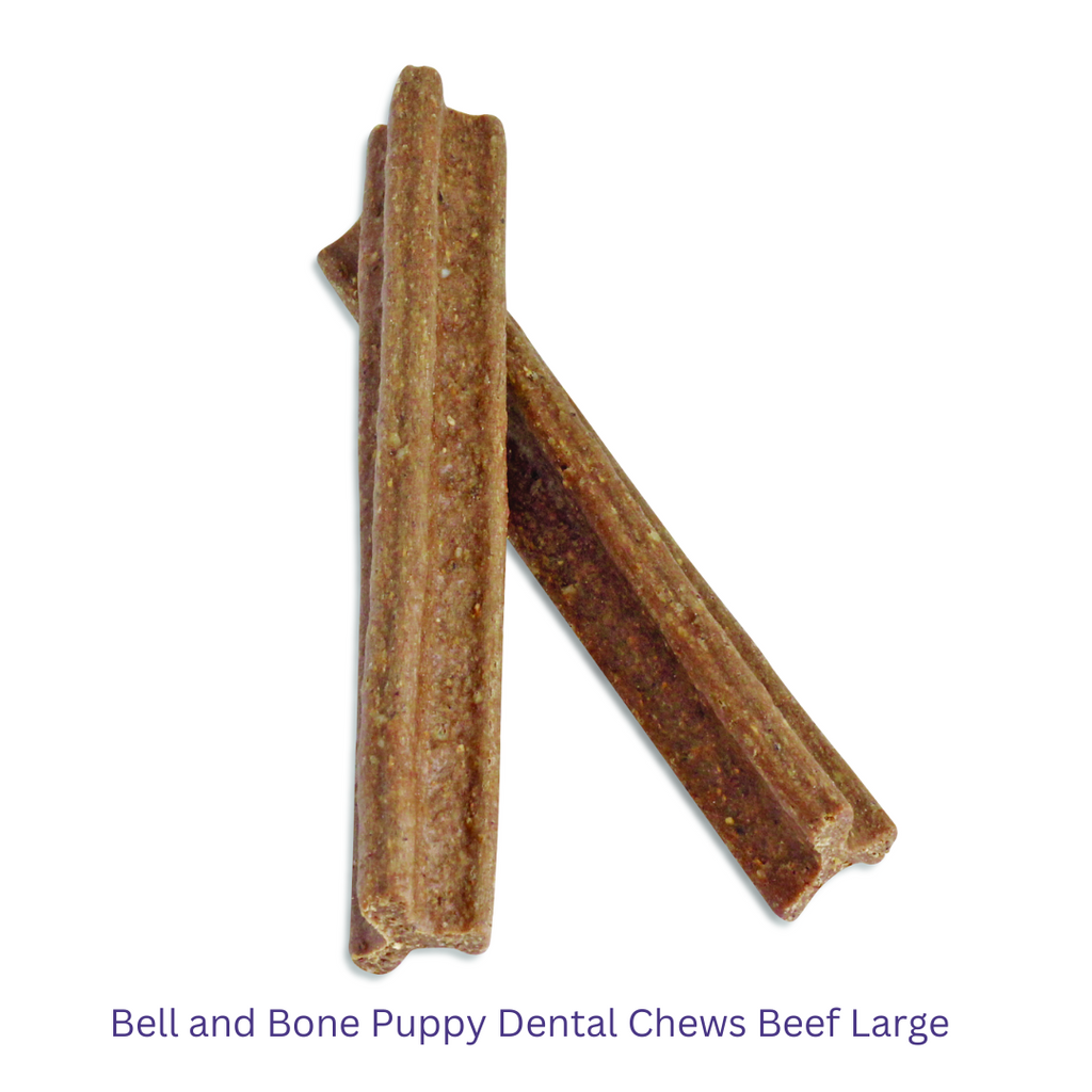 Bell and Bone Puppy Dental Chews Beef Large sample -YourPetPA