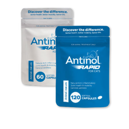 antinol rapid for cats natural anti-inflammatory antioxidant support joint health, skin and general wellbeing