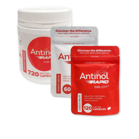all-natural supplement antinol rapid for dogs natural anti-inflammatory for joint mobility support