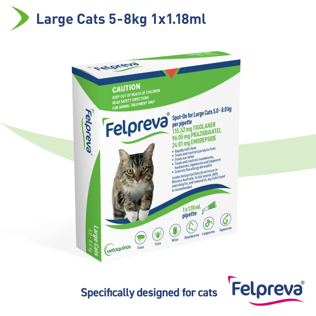 Felpreva Spot On Solution For Large Cats 5-8kg- PetPA