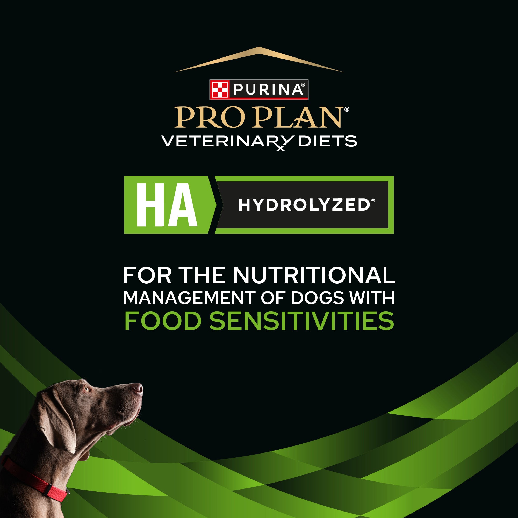Pro Plan Veterinary Diet HA Hydrolyzed Dog Dry Food