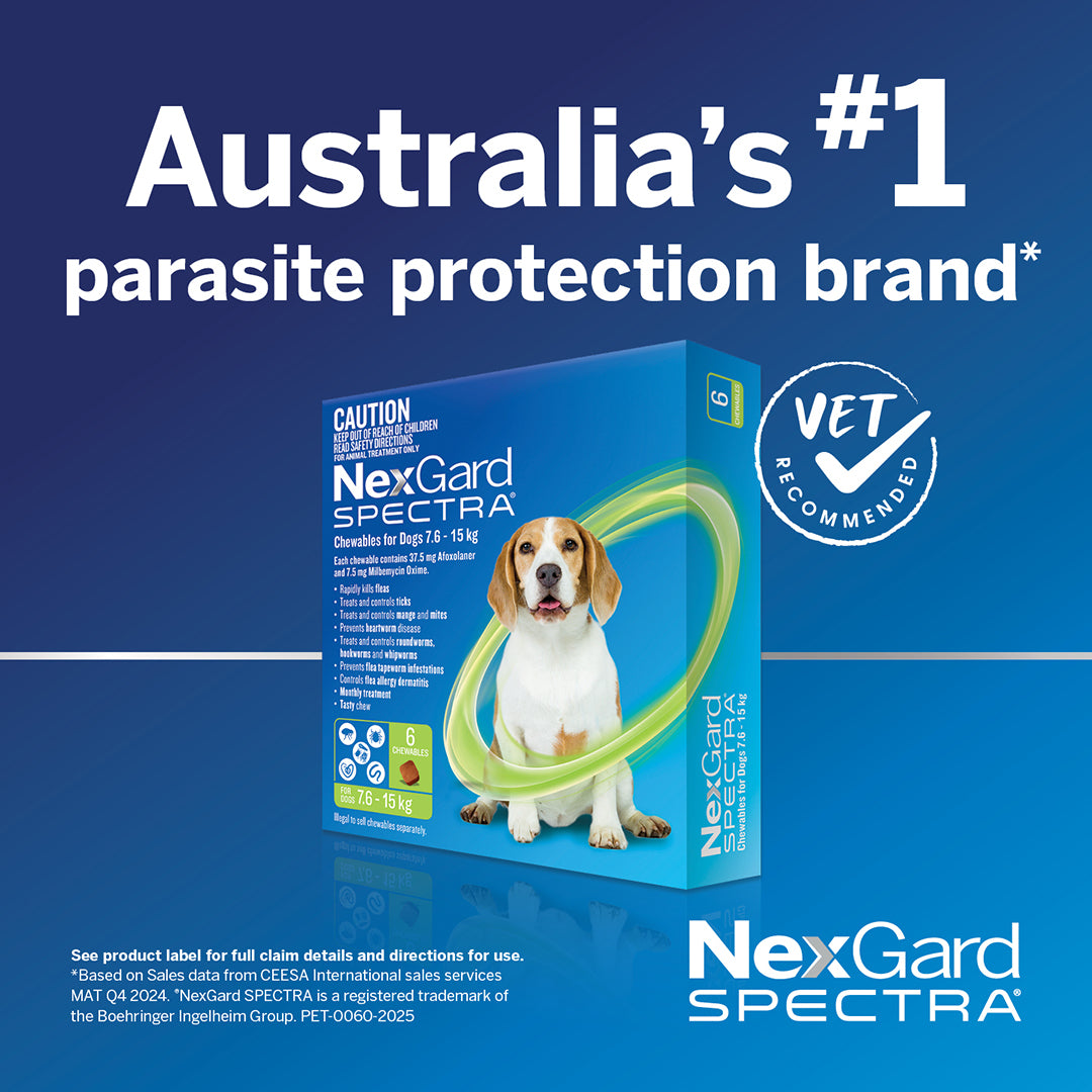 Nexgard Chewable Tablets Nexgard Small Dog Pack NexGard Chewable