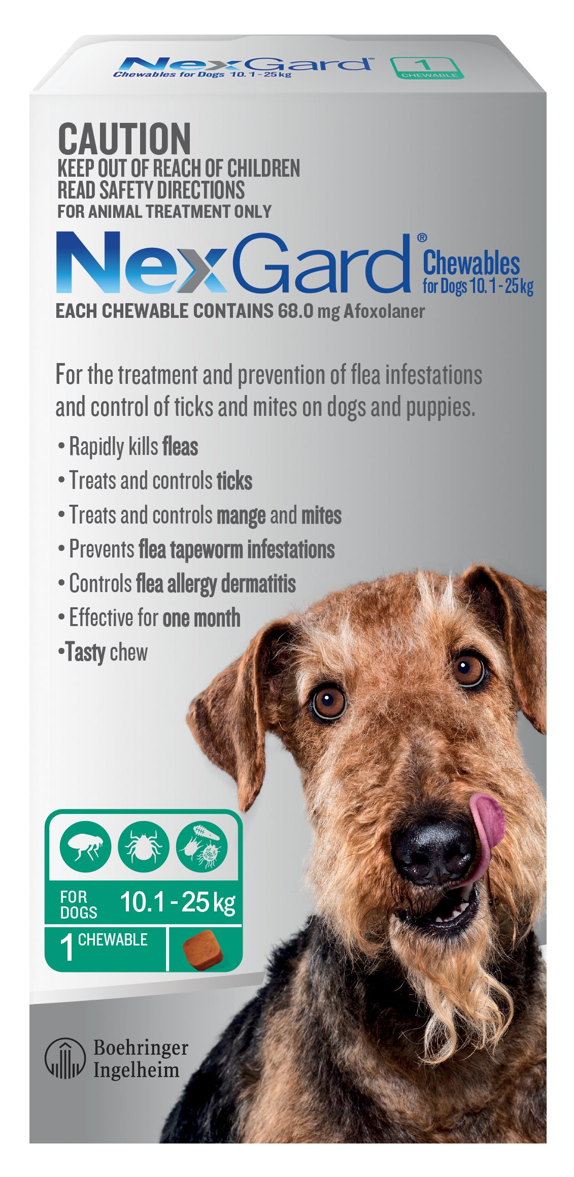 NexGard For Dogs Green Large