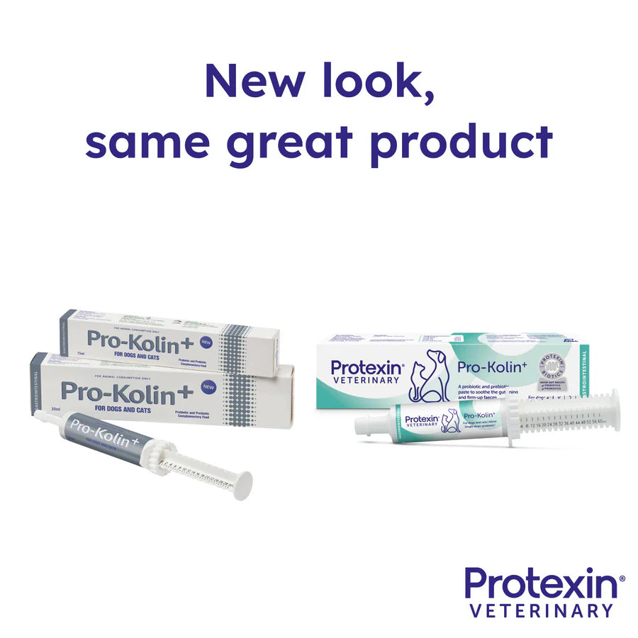 Proklein Color Pro-Kolin+ Probiotic & Prebiotic Paste