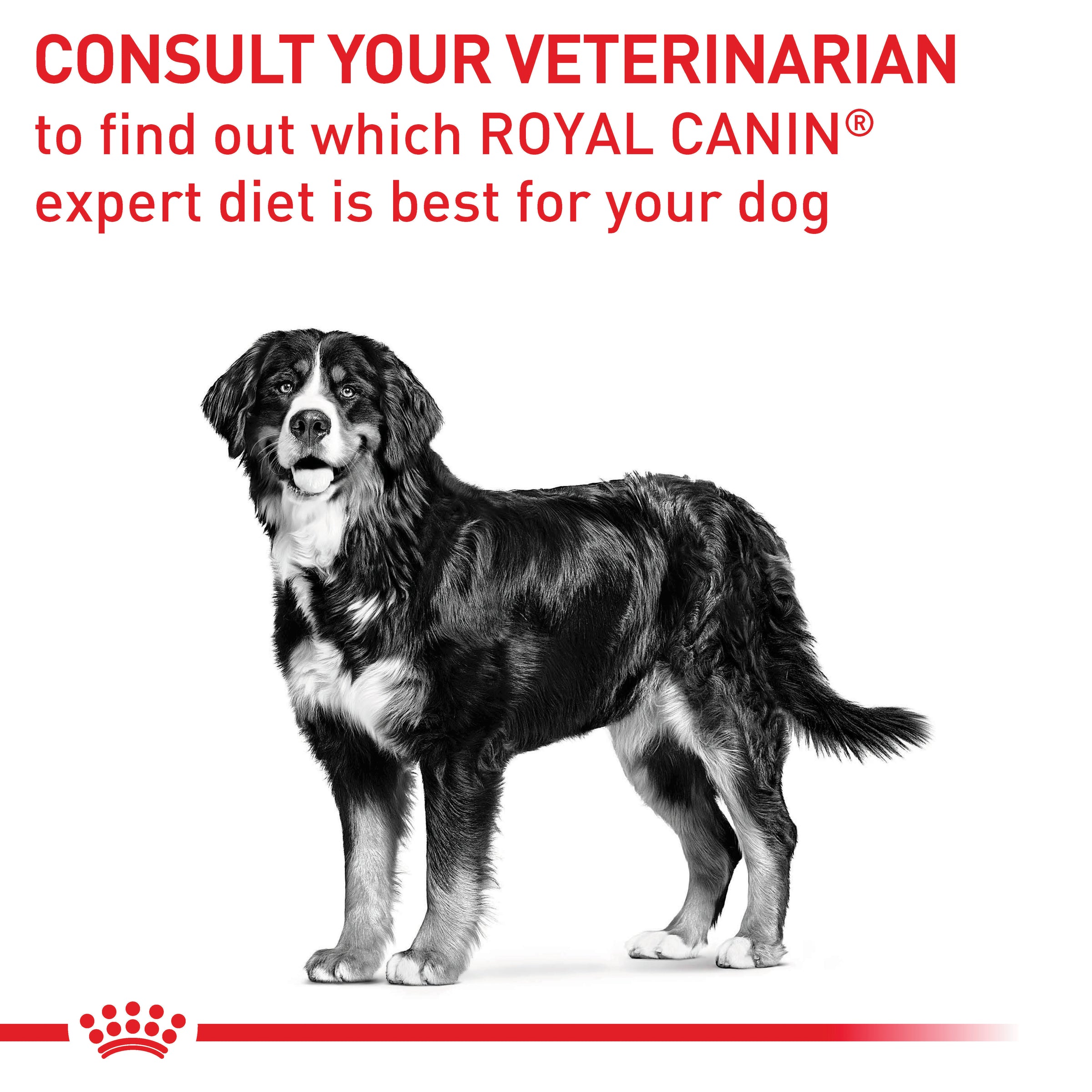 Royal Canin Veterinary Diet Canine Neutered Adult Large Dogs Dry Dog F