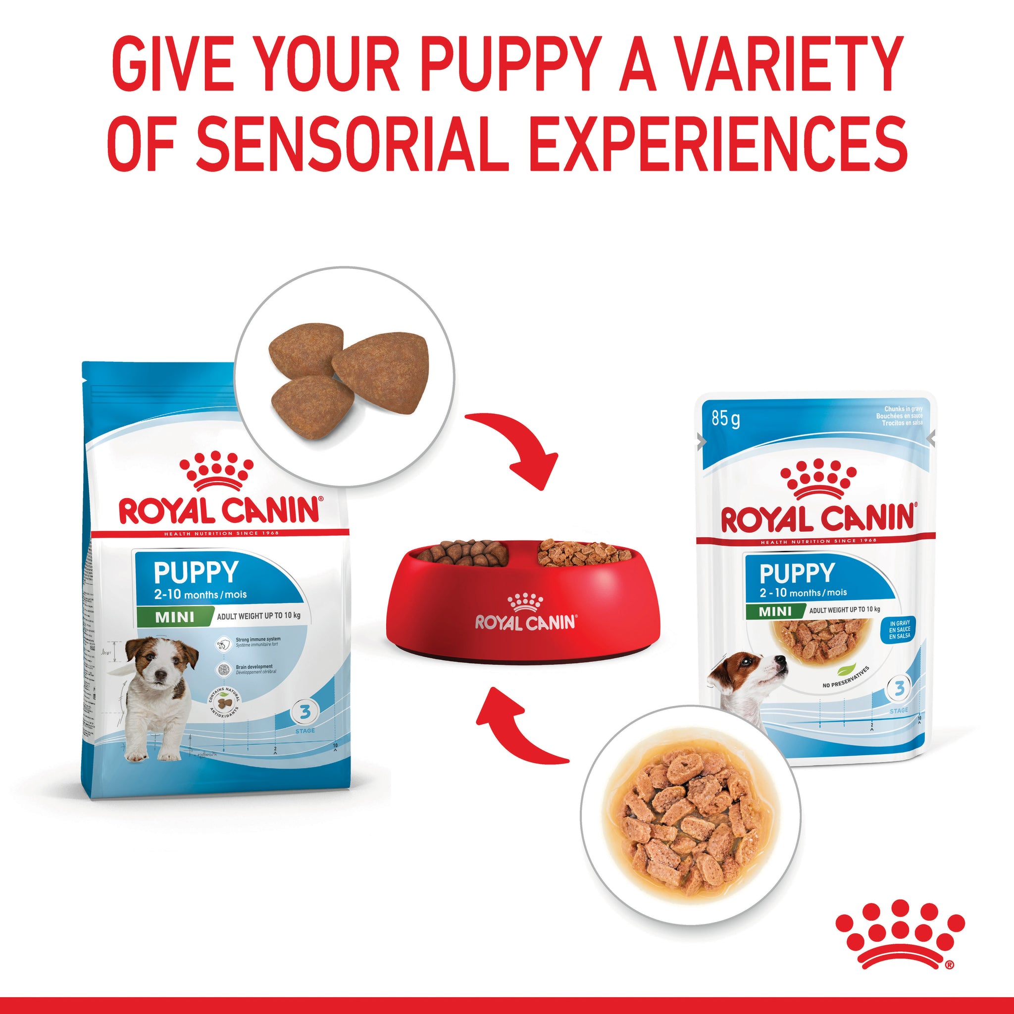 Royal Canin Mini Puppy Wet Dog Food Pouches