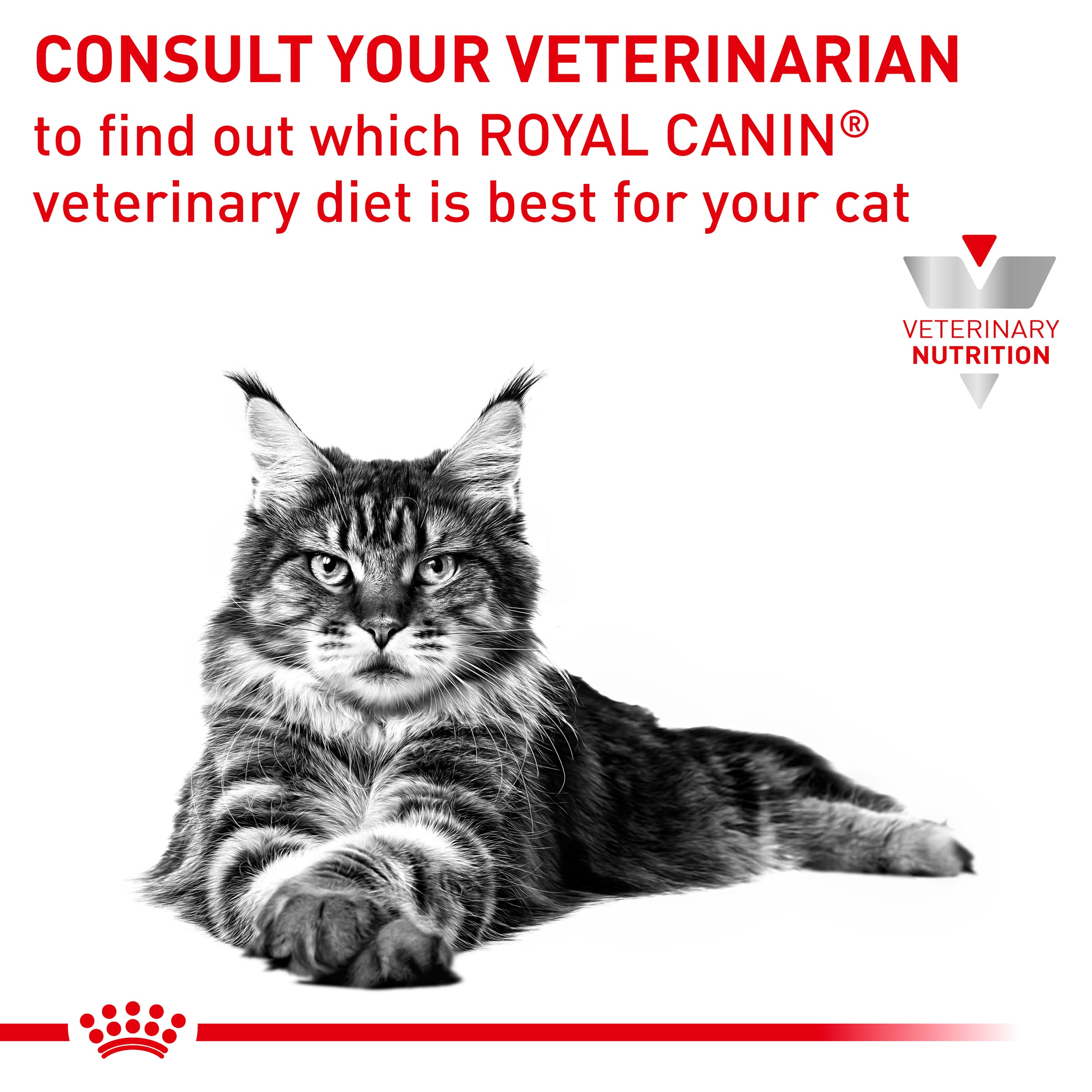 Royal Canin Veterinary Diet Sensitivity Control Cat Wet Food Pouches