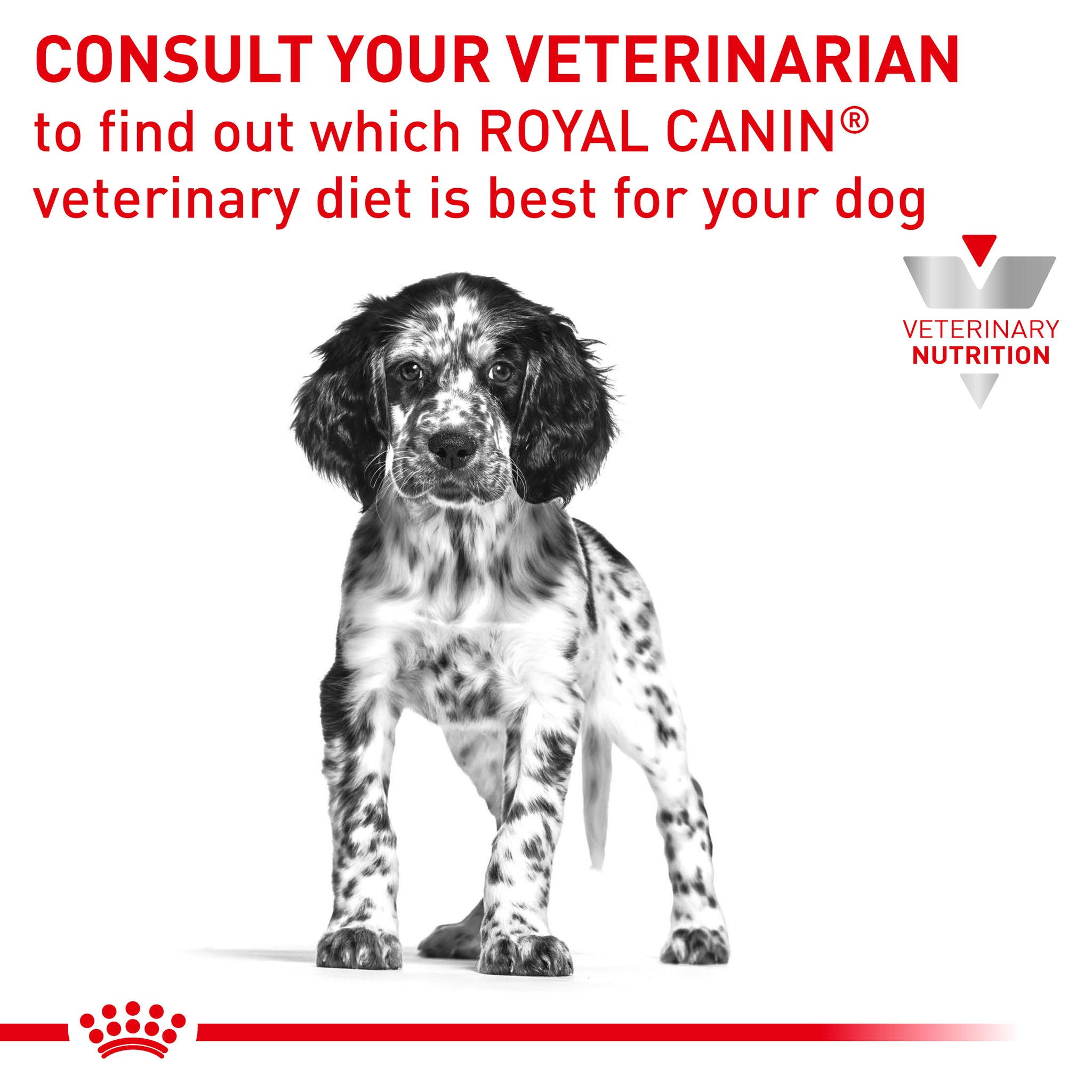 Royal Canin Veterinary Canine Gastrointestinal Puppy Canned Wet Dog Fo - Main Image