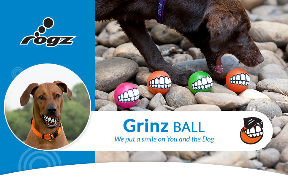 A joyful image capturing a dog happily playing with the Rogz Grinz Treat Ball Orange, demonstrating its engaging and entertaining nature.