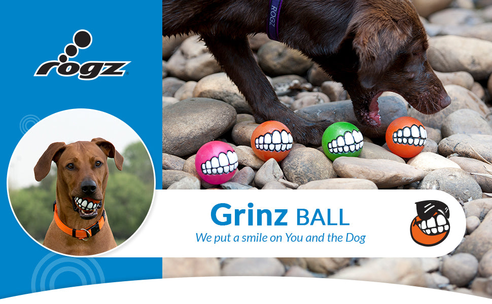 A lively image of a dog happily playing with the Rogz Grinz Treat Ball Pink, illustrating its engaging and entertaining nature.