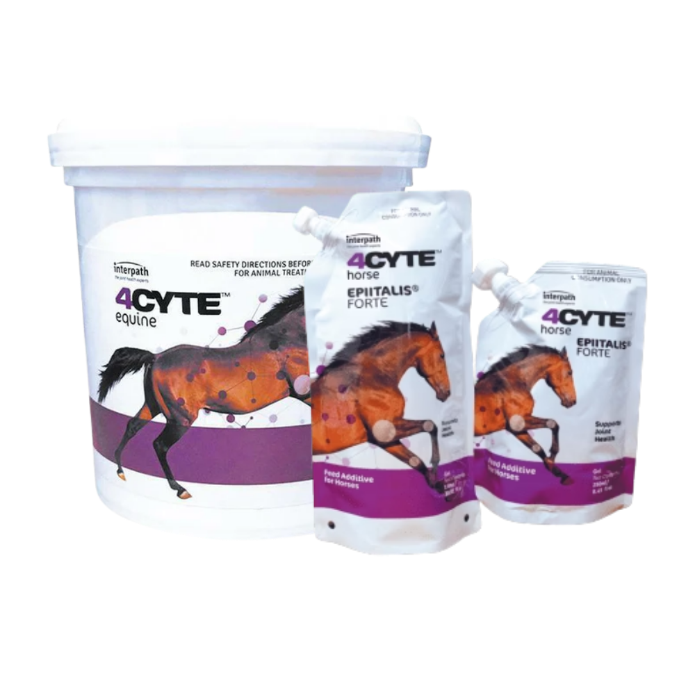 l carnitina engorda l carnitina dosis adultos Quema de grasa natural l carnitina engorda l carnitina dosis adultos Quema de grasa natural