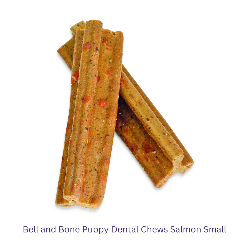 Bell and Bone Puppy Dental Chews Salmon Small -YourPetPA