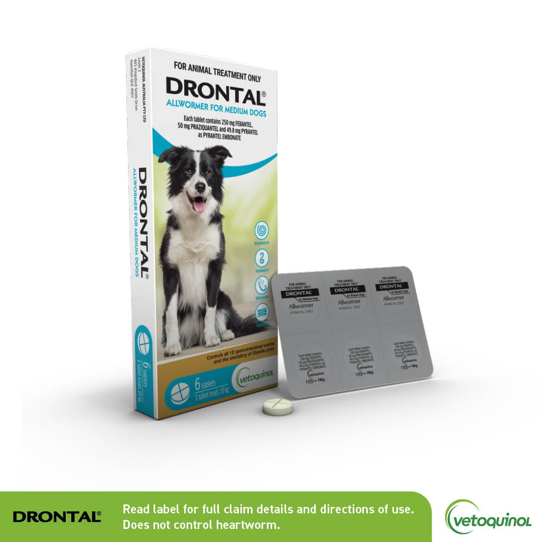 Drontal Allwormer Tablets for Medium Dogs Tablets