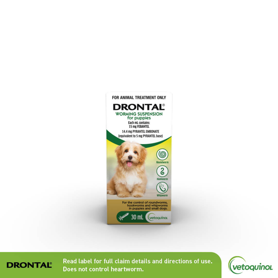 Drontal Worming Puppies 30ml Bottle
