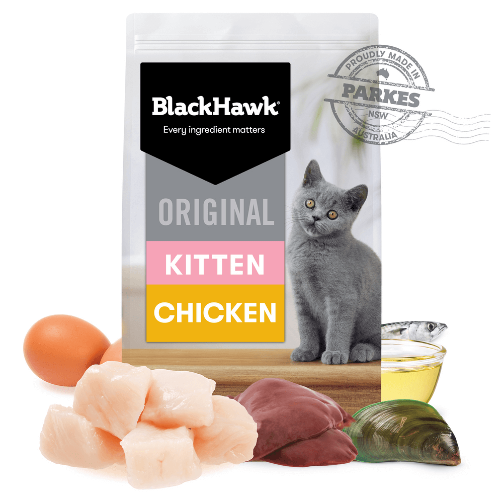 Black hawk kitten shop food