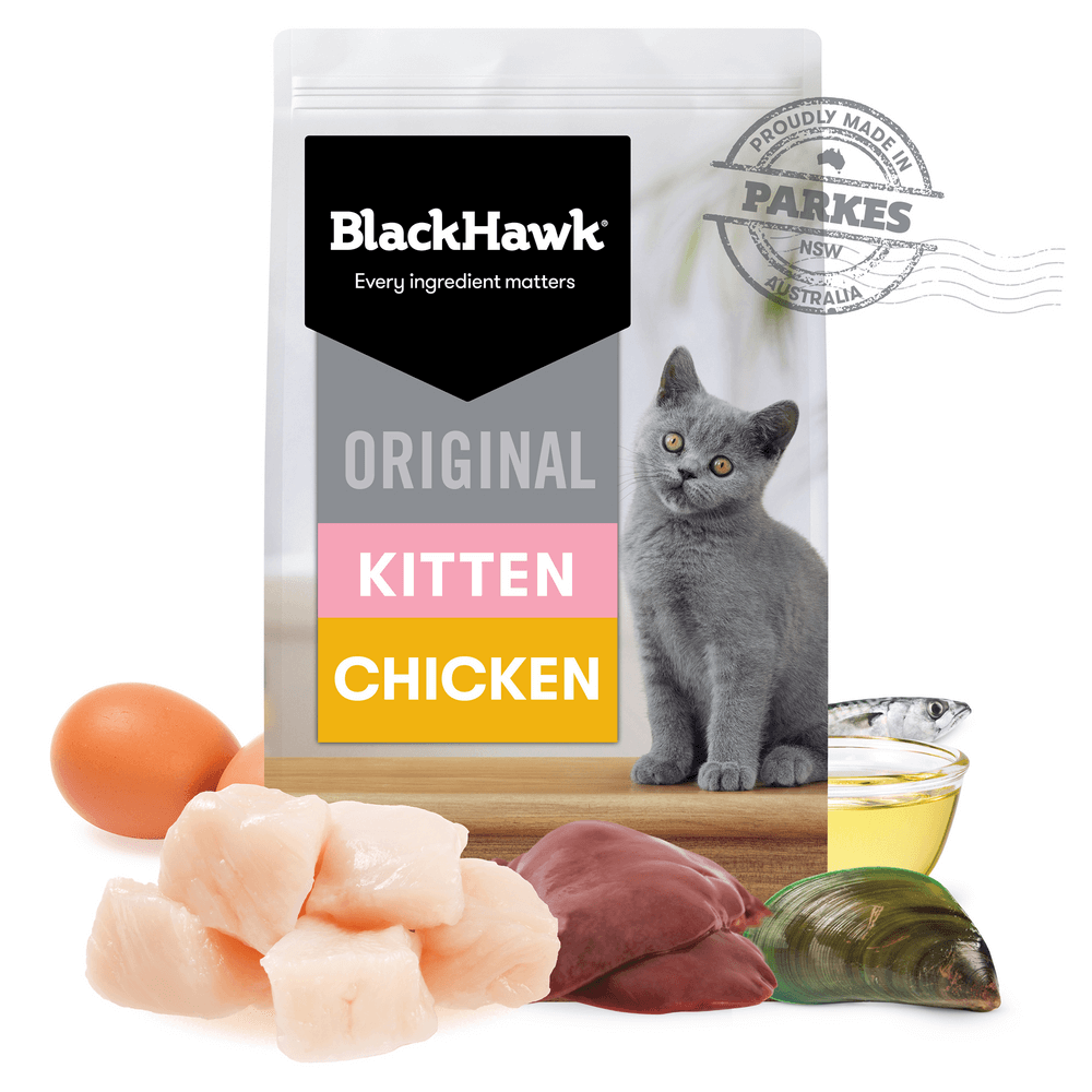 Black Hawk Chicken and Rice Kitten Dry Food Front S- PetPA