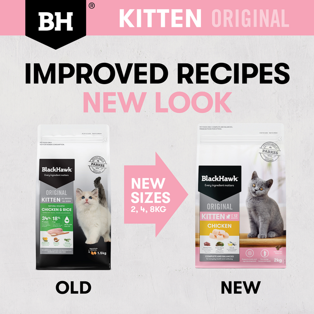 Black Hawk Chicken and Rice Kitten Dry Food Your Pet PA
