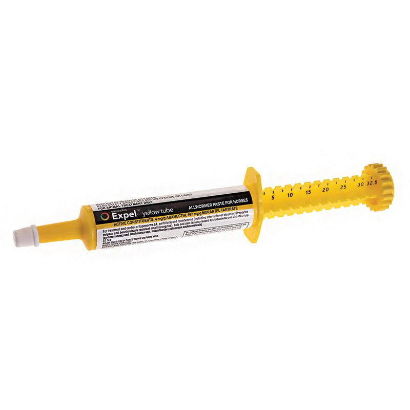 Expel Yellow Tube All  Wormer for Horses 32.5gm- PetPA