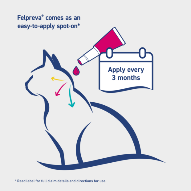 Felpreva Spot On Solution For Small Cats Easy to apply- PetPA