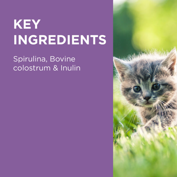 PAW Digest And Protect Kitten Care For Cats Ingredients- PetPA