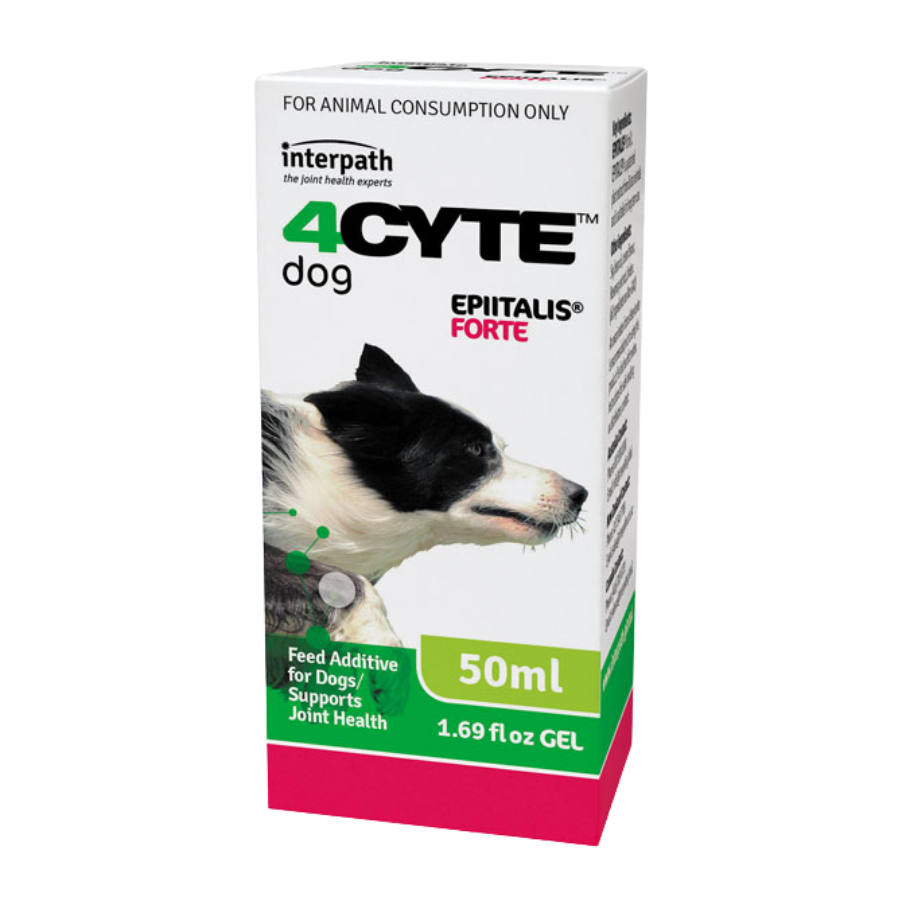 4Cyte Epiitalis Forte Gel for Dogs 50ml
