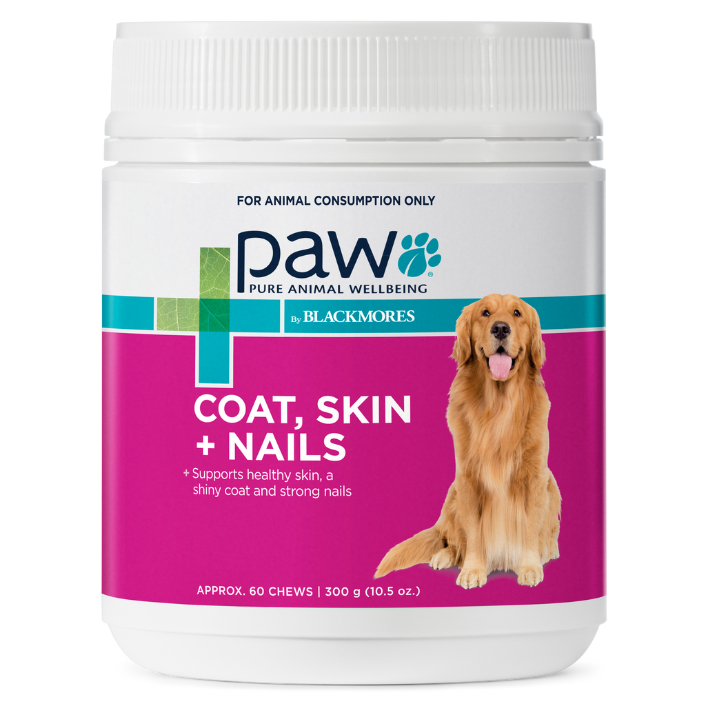 PAW Coat, Skin and Nails Chews Front