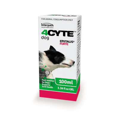 4Cyte Epiitalis Forte Gel for Dogs 100ml
