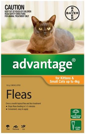 Advantage Flea Treatment For Cats up to 4kg- Your PetPA