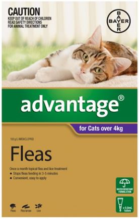 Advantage Flea Treatment For Cats Over 4kg- YourPetPA