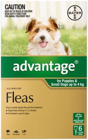 Advantage For Small Dogs Up To 4kg- YourPetPA