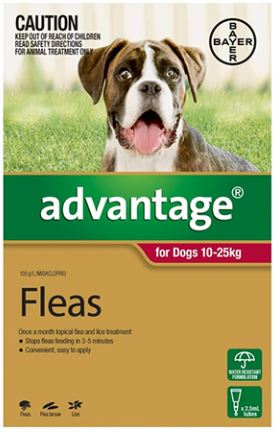 Advantage For Dogs 10-25kg- YourPetPA