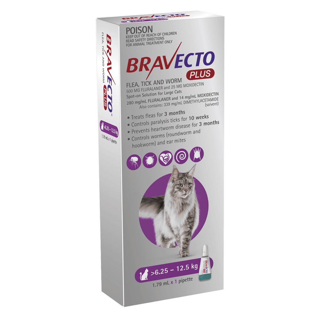 Bravecto Plus Spot On For Large Cats 6.25 - 12.5kg 1pack -Your PetPA