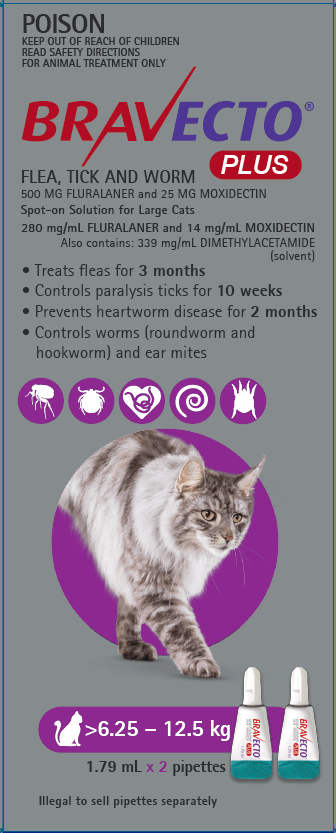 Bravecto plus spot on best sale cat