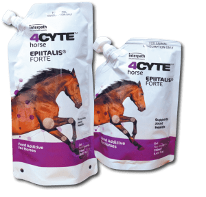 4CYTE Epiitalis Forte Equine -Your PetPA